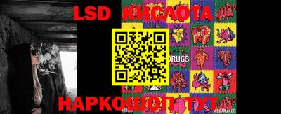 apvp Шелехов