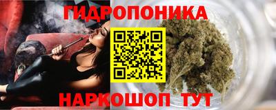 гидра Шахты