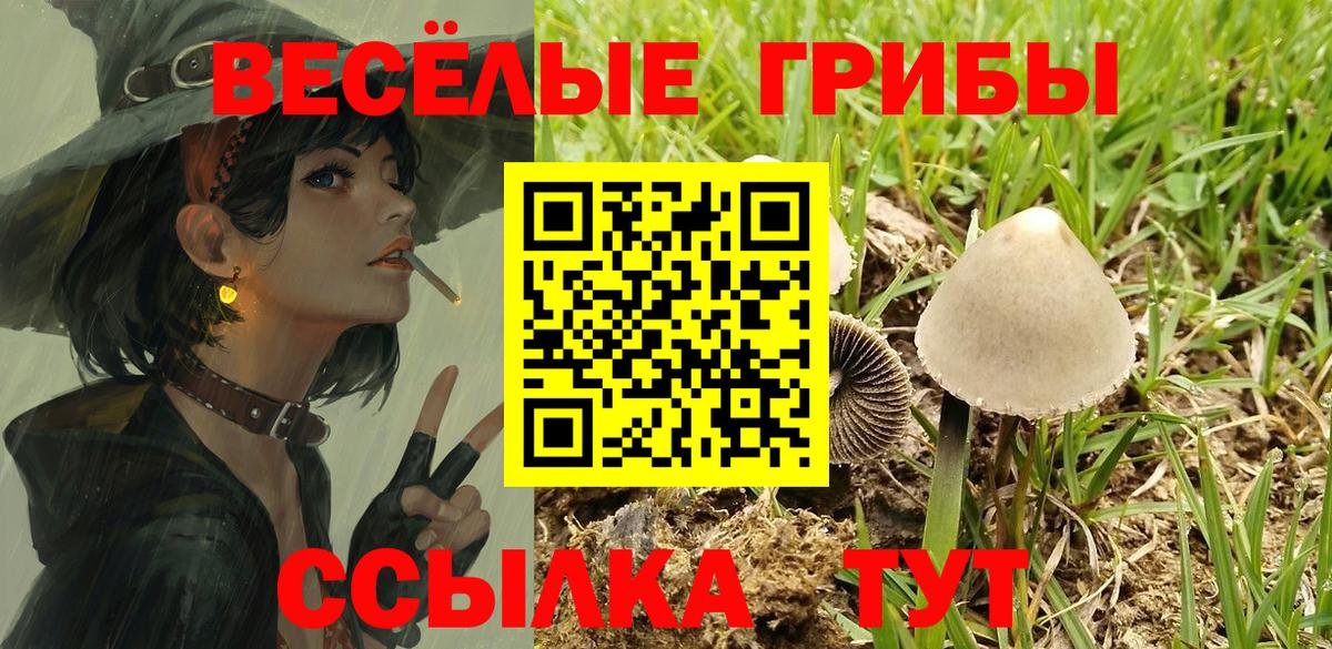 Галлюциногенные грибы GOLDEN TEACHER Кулебаки