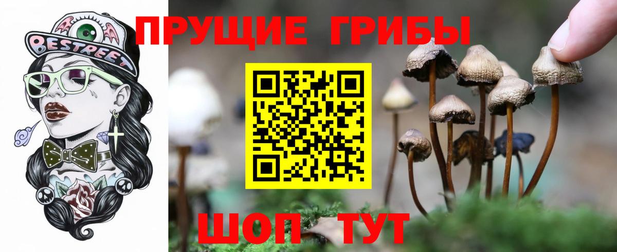 Кулебаки  Галлюциногенные грибы GOLDEN TEACHER  Вход с VPN 